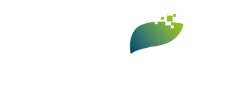 brainmeePNG brainmee_logo